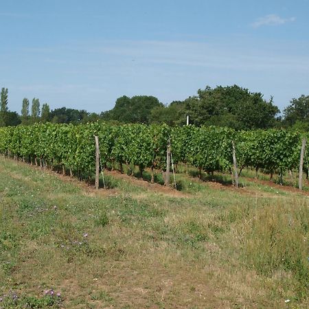 Le Logis Du Livier Saint-Georges-sur-Layon Exterior foto